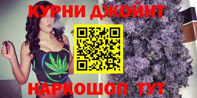 сатива Обнинск