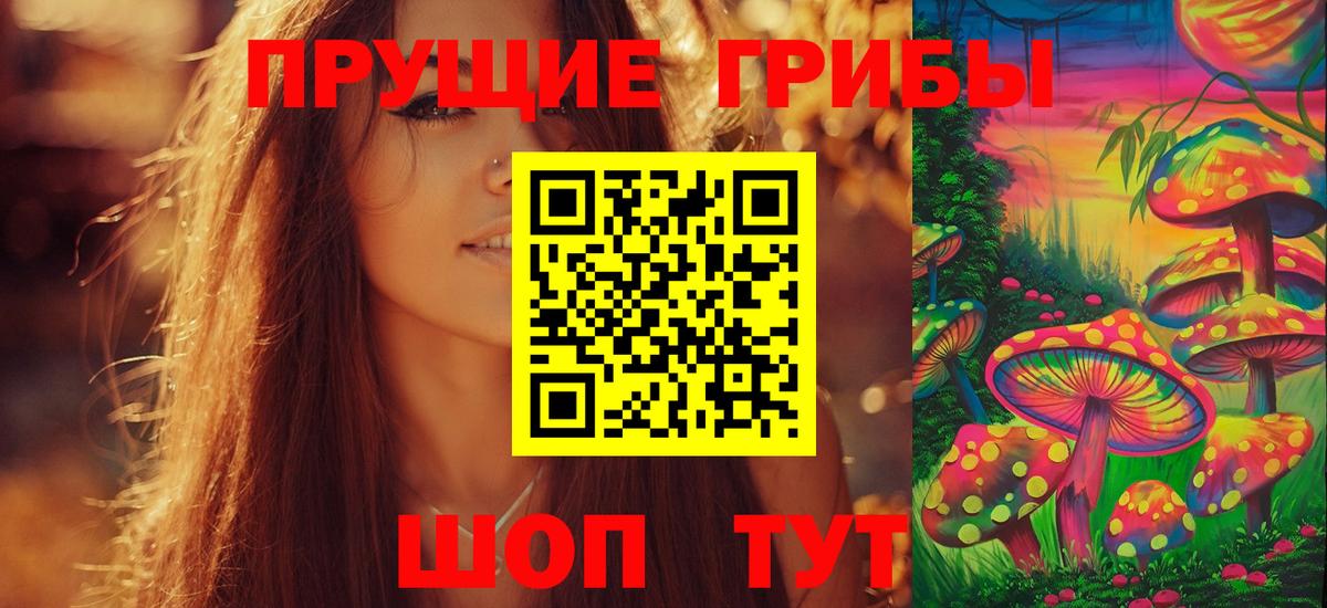 Серпухов  Галлюциногенные грибы Cubensis  Вход с VPN 