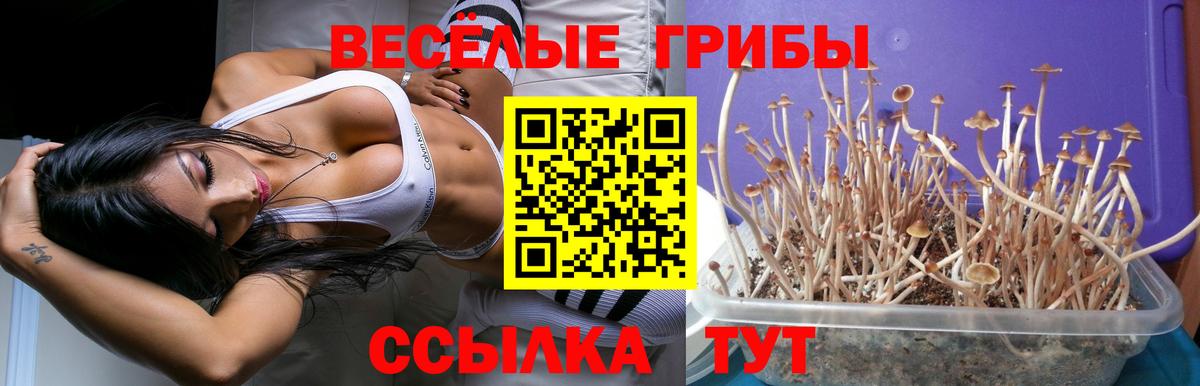 Псилоцибиновые грибы мицелий Серпухов